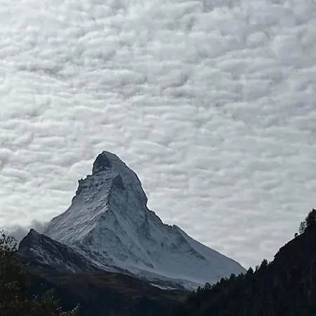 Styria زيرمات